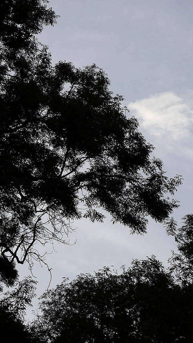 Paysages luzarchois du soir